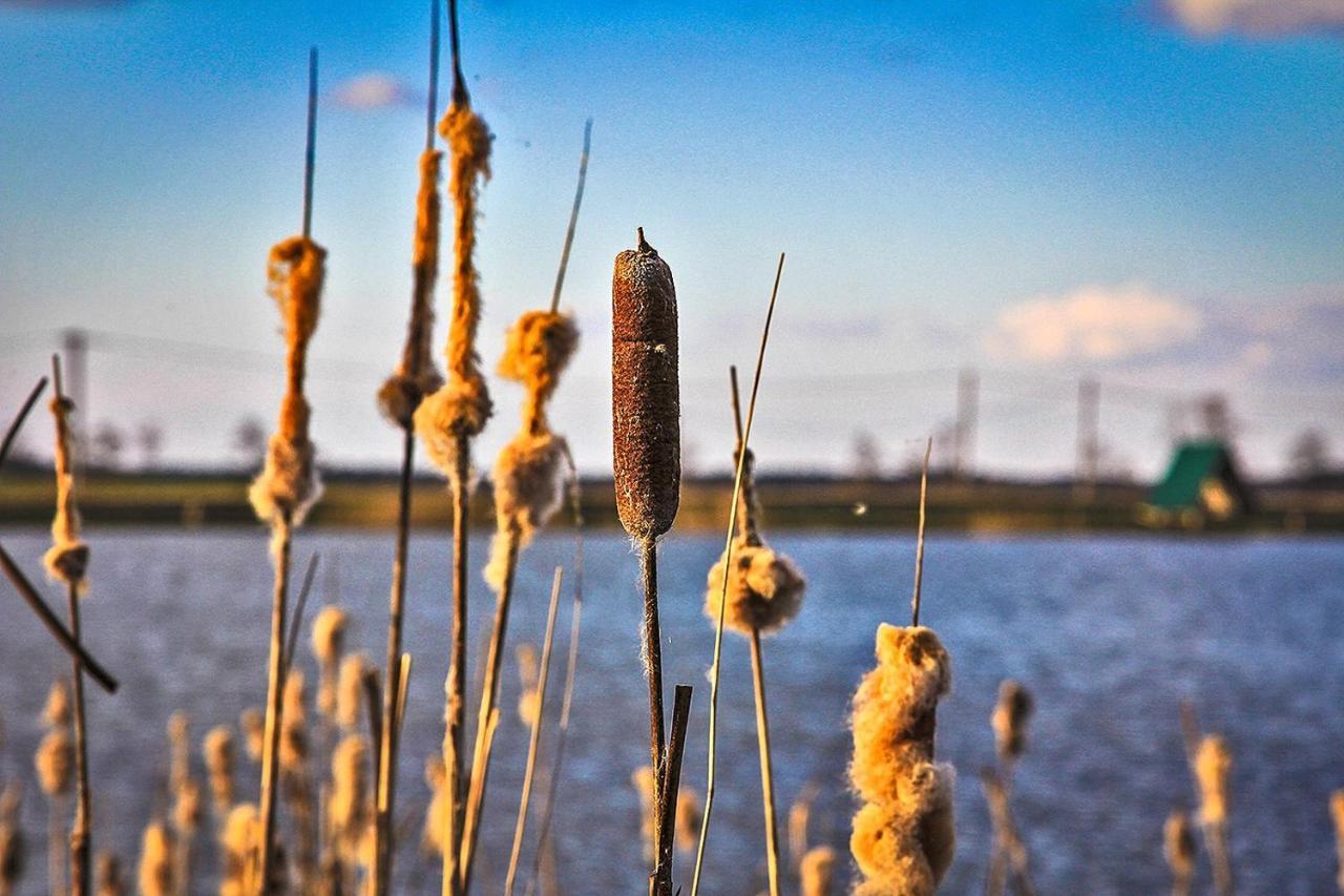 Vila Sterla - Masuria Giżycko Exteriér fotografie