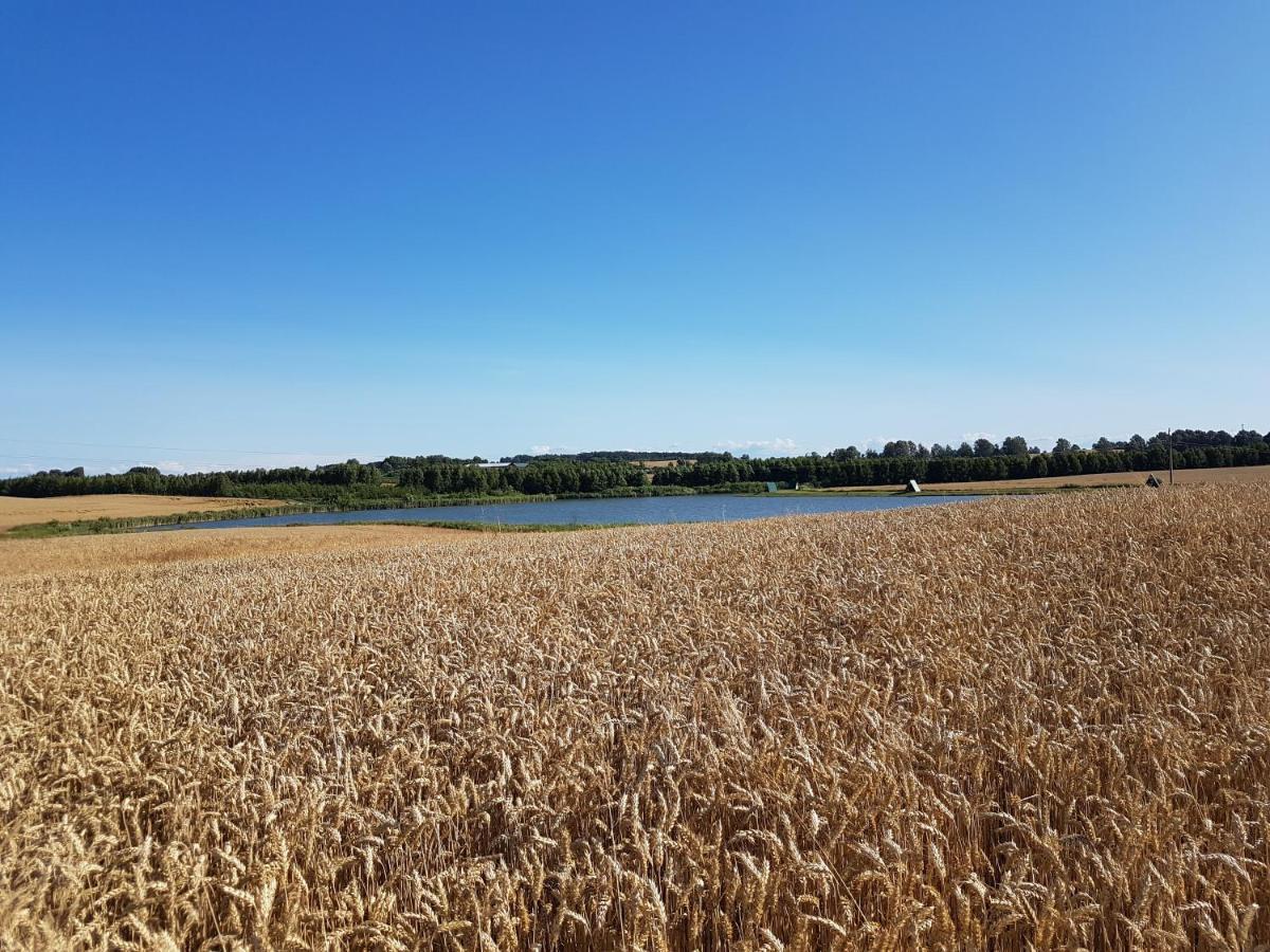 Vila Sterla - Masuria Giżycko Exteriér fotografie